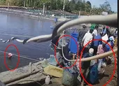 Camera ghi cảnh thương lái trộm hàng tấn tôm