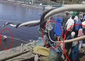 Nhóm trộm đền 200 triệu cho chủ ao tôm đã bị phạt hành chính ảnh 3 Nạn trộm tôm đã lộng hành hơn 5 năm qua