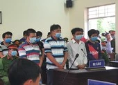 Cua Cà Mau bị giáp xác chân tơ tấn công ảnh 1 Tuyên án 19 'siêu trộm tôm' ở Cà Mau