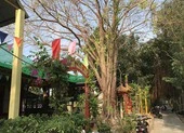 1 phụ nữ đi đánh ghen bị khởi tố tội cướp tài sản ảnh 2 Khởi tố vụ đánh ghen, lấy nhẫn vàng ở Cà Mau