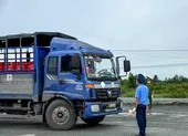 Cà Mau: Muốn ăn, uống ở hàng quán trong tỉnh phải xin phép chính quyền ảnh 3 Cà Mau: Xe vận tải 'đứng bánh' vì vướng khâu xuống hàng