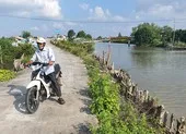 Vụ clip đánh đập trẻ con sau bụi rậm: Đã xác minh được người đánh ảnh 4 Chủ tịch Cà Mau chỉ đạo làm rõ clip trên PLO.VN về sạt lở