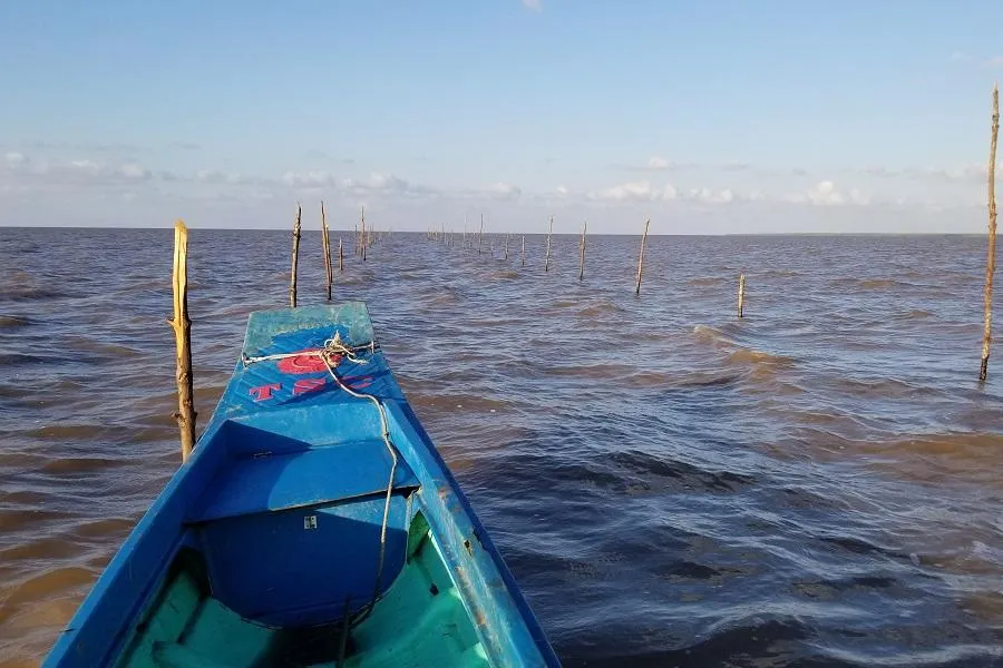 Khu vực bãi bồi Vườn Quốc Gia Mũi Cà Mau từng cho thuê nhưng bỏ ngoài sổ sách, lập quỷ đen. Ảnh: TRẦN VŨ