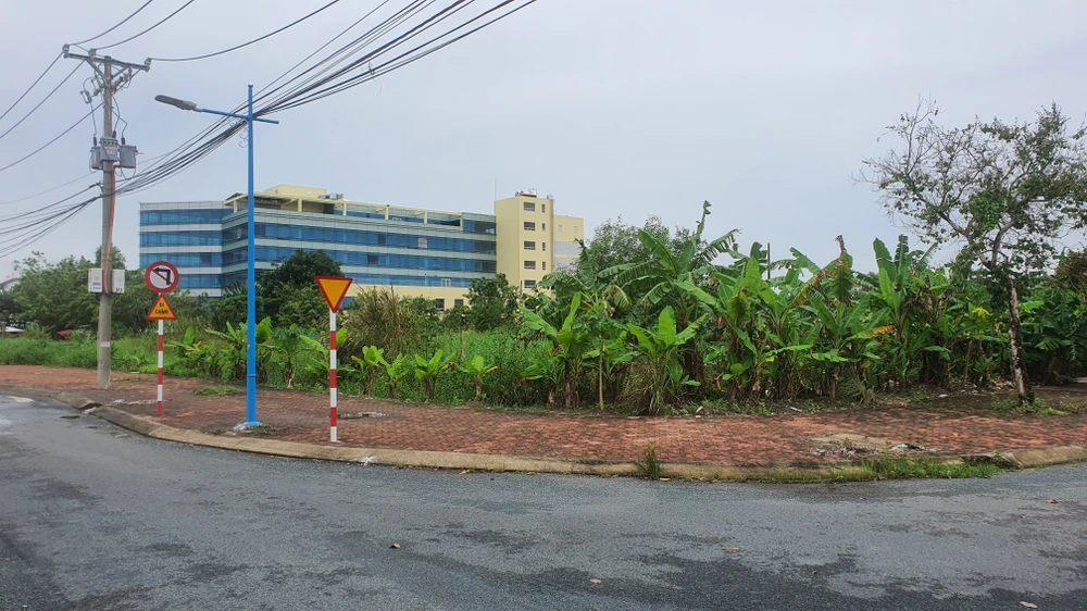 Cũng trong tháng 6-2023, Sở TN&amp;MT tỉnh Cà Mau kiến nghị UBND tỉnh thu hồi dự án liên quan vụ án lừa đảo của bị cáo Châu Thành Nhân. Ảnh: TRẦN VŨ