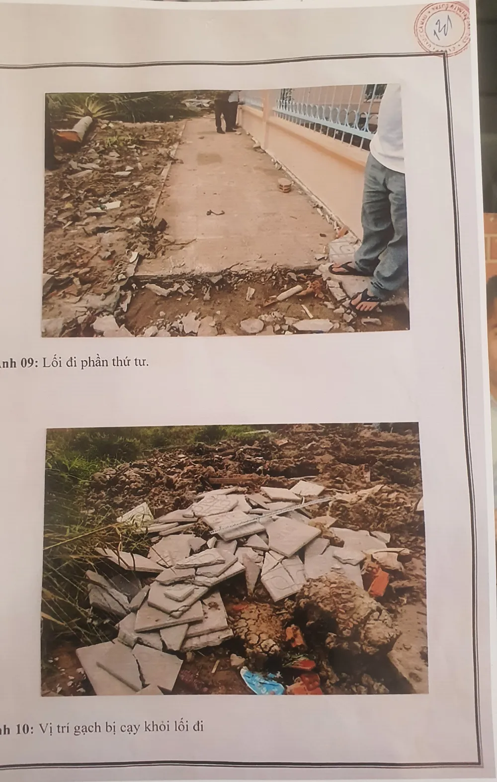 Nữ doanh nhân Âu Vững bị cáo buộc hủy hoại lối đi này. Ảnh: TRẦN VŨ Nữ doanh nhân Âu Vững 2.jpg
