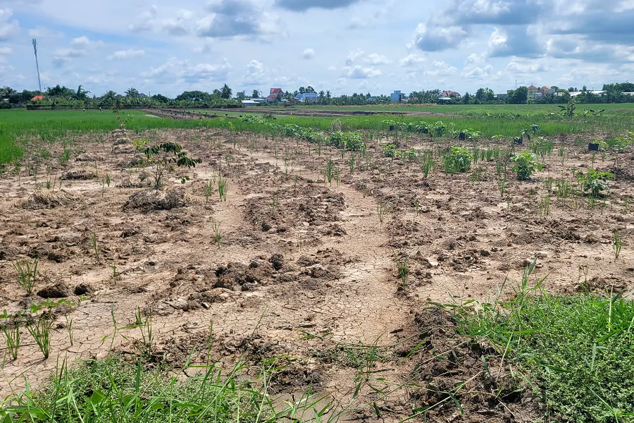 Cử tri TP Cà Mau kiến nghị 2.png