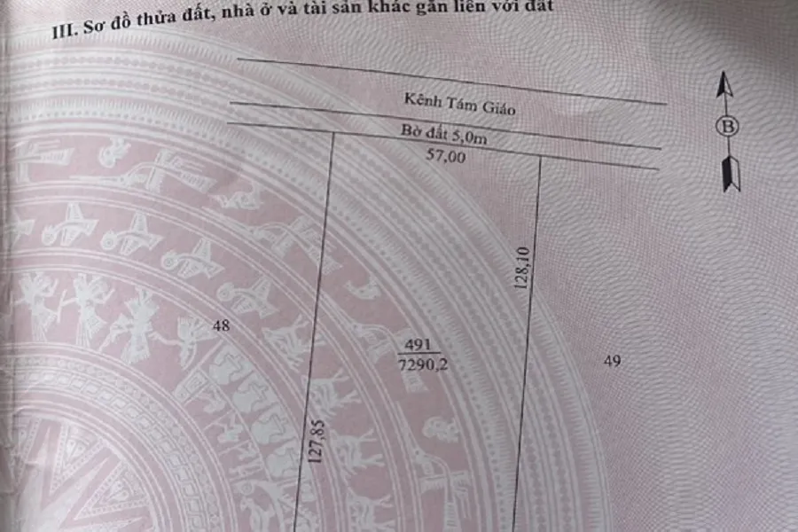 Ông Hoàng cho biết ông làm đường chăm sóc ruộng lúa trên bờ đất theo hiện trạng trên sổ hồng chứ không phải trên đất lúa. Ảnh: TRẦN VŨ Xã Lý Văn Lâm sợ trách nhiệm 5.jpg
