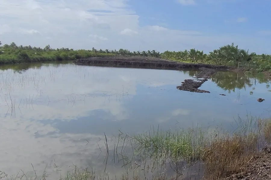 Làng cá Tân Thành 4.jpg