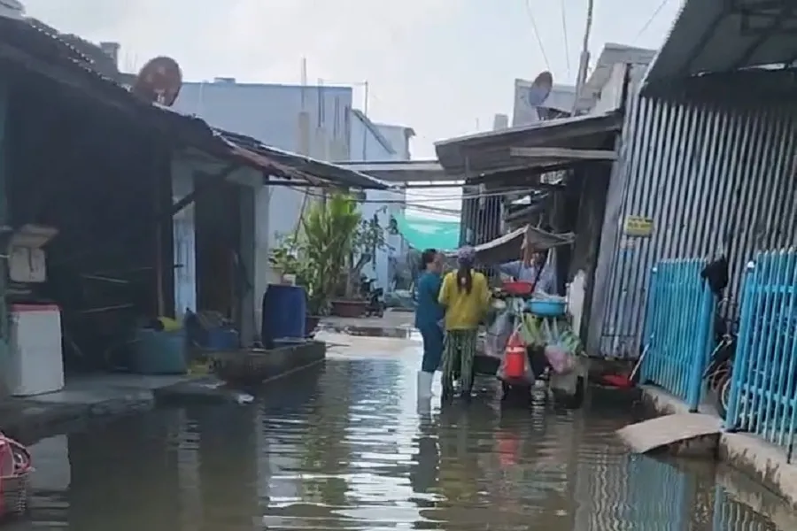 Lãng phí đất đai Sông Đốc Cà Mau 4.jpg