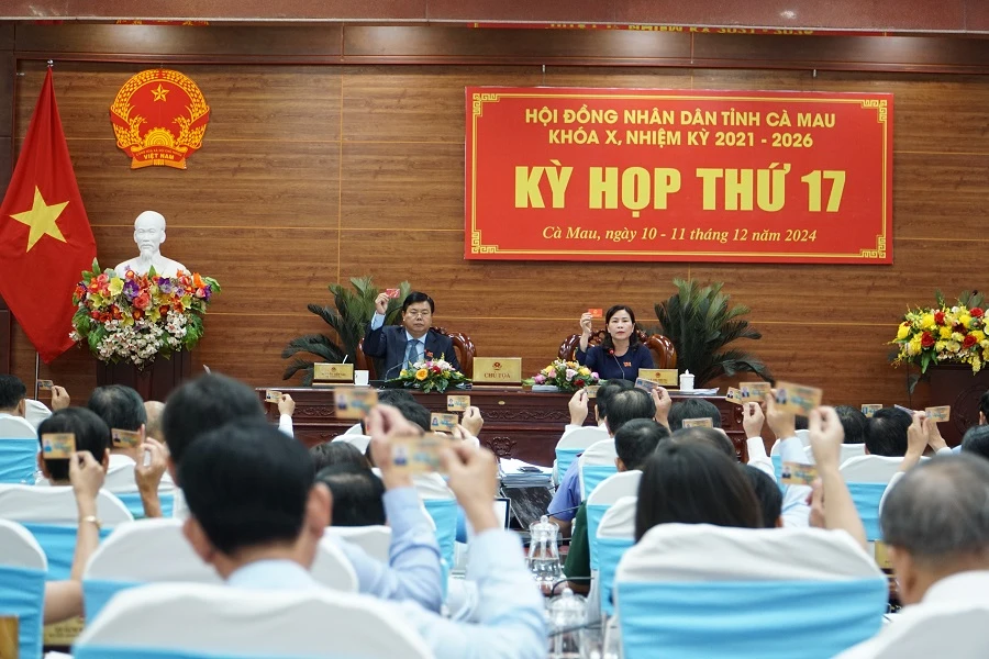 Tinh gọn bộ máy Cà Mau 1.jpg