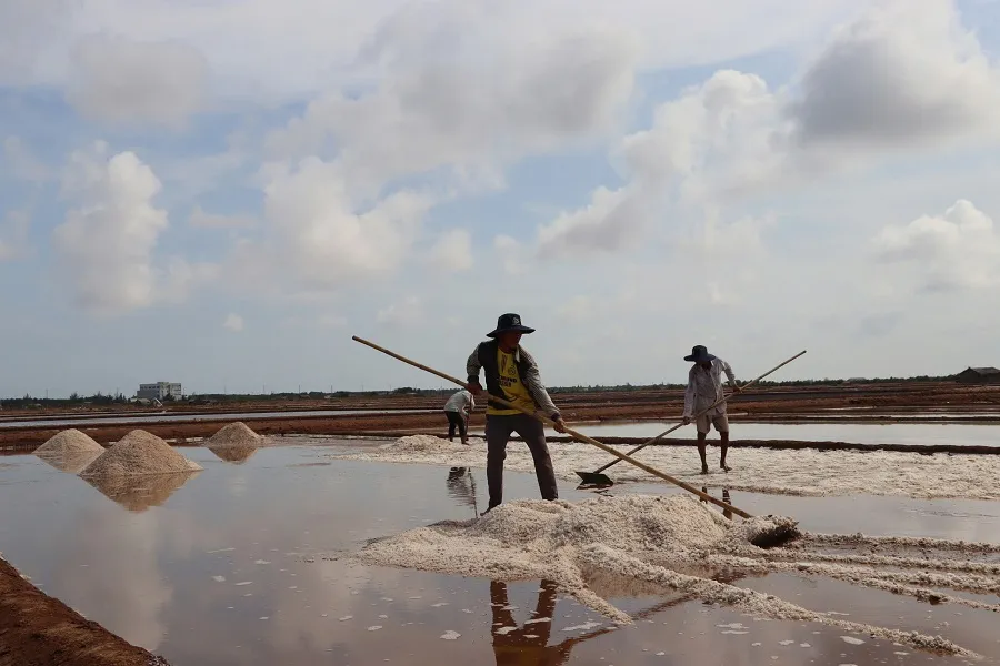 Festival nghề muối 3.jpg