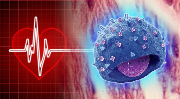 Ký ức trong tế bào: Các nhà nghiên cứu đưa ra giả thuyết cho rằng sự thay đổi trong tính cách của người nhận tạng cấy ghép là do ký ức đã được lưu trữ trong các tế bào. (Ảnh: photos.com)