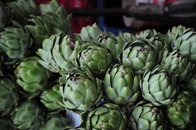 Muôn sắc hoa Đà Lạt ảnh 3