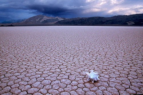 Địa ngục trần gian' mà ai cũng muốn đến ảnh 8