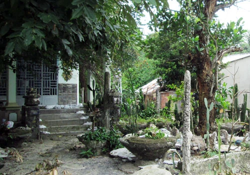 Ông Chứng sống ở TP HCM, mỗi tháng, ông Chứng về thăm khu vườn này đôi ba lần.