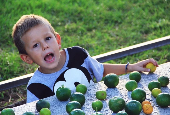 Vẻ đẹp con người giữa sắc thu châu Âu ảnh 18