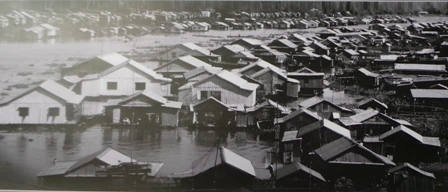 Làng bè ở Châu Đốc - Tác giả Tô Hoàng Vũ