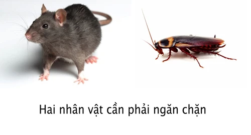 Những điều cần lưu ý khi không sử dụng xe ô tô trong thời gian dài_vovgiaothong