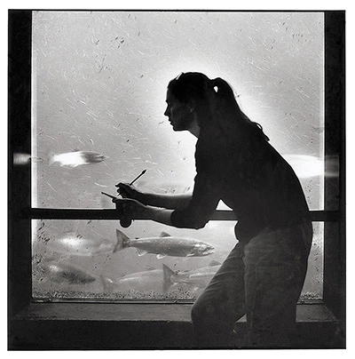 Ảnh chụp những nghề nghiệp kỳ lạ, khó gọi tên nhất thế giới ảnh 8