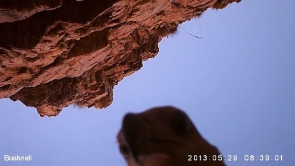 16 ảnh tự sướng tiêu biểu của năm 2013