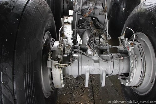 Khám phá bảo tàng hàng không quốc gia của Ucraine ảnh 18