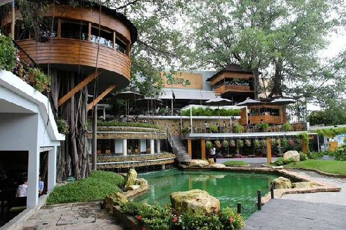 Được thiết kế trên một không gian khá rộng so với một quán café sân vườn, với những ban công mở, được phủ mát bởi sắc xanh của tán cổ thụ che mát, và đủ những sắc màu của vô vàn loài hoa, cùng với đó là thanh âm réo rắt, trong trẻo của dòng suối nhân tạo được bố trí ngay giữa lòng Garden sẽ đưa bạn như lạc vào cả một khung trời thật mơ mộng và cũng rất trẻ trung, hiện đại.