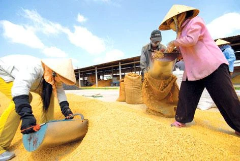 Người nông dân đang còng lưng nuôi ai và ai dám chết cùng họ?