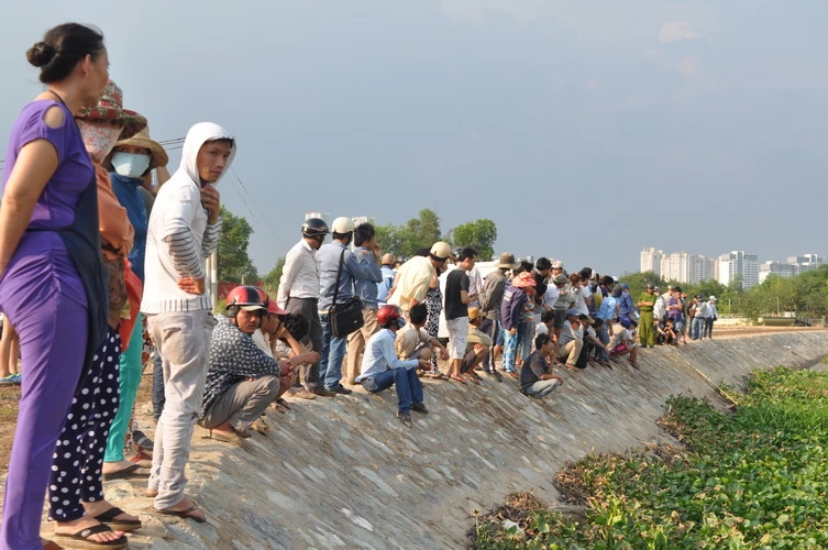 Phát hiện xác chết trong đám lục bình ảnh 1