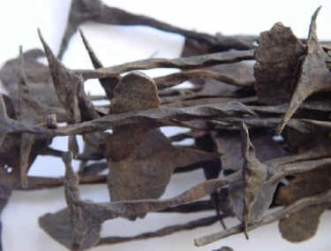 Nhập mô tả cho ảnh