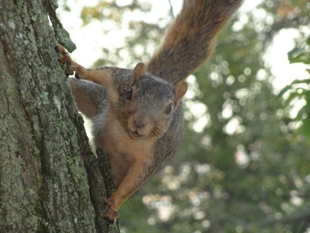 Nhập mô tả cho ảnh