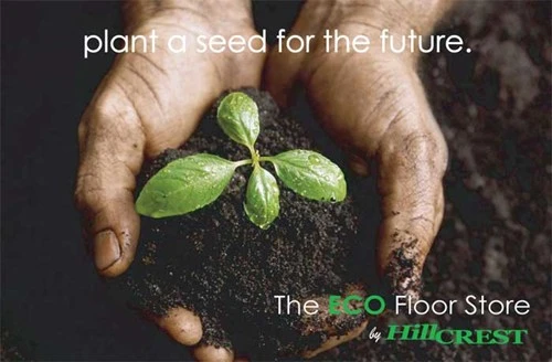 5 quy tắc thu hút sự chú ý vào quảng cáo ảnh 12