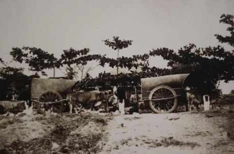 Xe người kéo ở miền Bắc