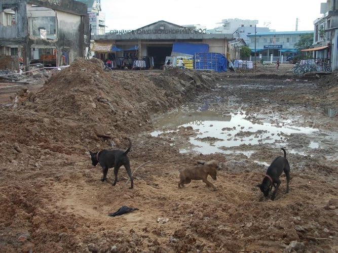 Phú Quốc sẽ thành thiên đường du lịch nghỉ dưỡng ảnh 10