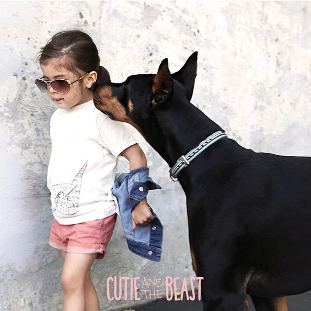 Bộ ảnh gây sốt về cô bé Sienna và chú chó Doberman ảnh 17