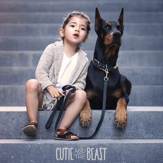 Bộ ảnh gây sốt về cô bé Sienna và chú chó Doberman ảnh 19