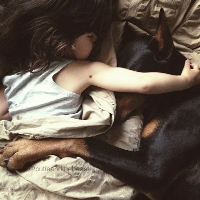 Bộ ảnh gây sốt về cô bé Sienna và chú chó Doberman ảnh 11