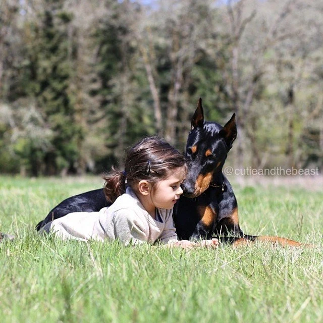 Bộ ảnh gây sốt về cô bé Sienna và chú chó Doberman ảnh 20