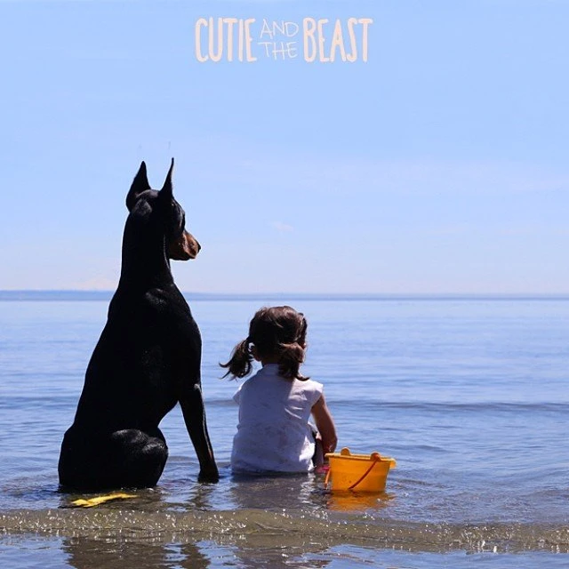 Bộ ảnh gây sốt về cô bé Sienna và chú chó Doberman ảnh 7