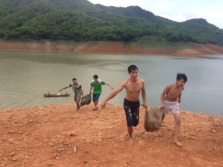 Cá được đưa lên bờ để thương lái chuyển về thành phố&nbsp;làm đặc sản nhà hàng