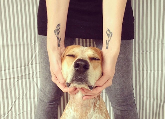 Nhập mô tả cho ảnh