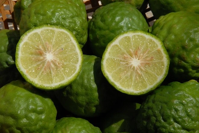 Nhập mô tả cho ảnh