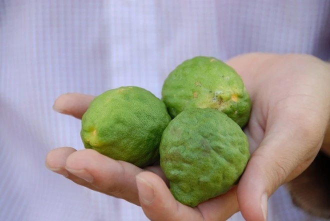 Nhập mô tả cho ảnh