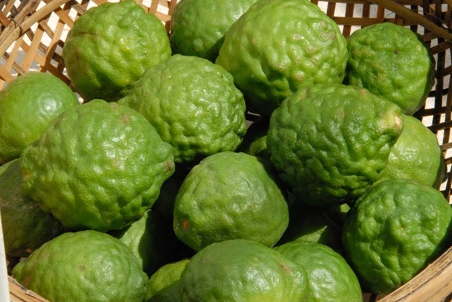 Nhập mô tả cho ảnh