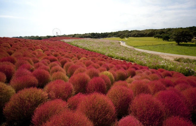 9 điểm đến dành cho du khách không thích ồn ào ảnh 8