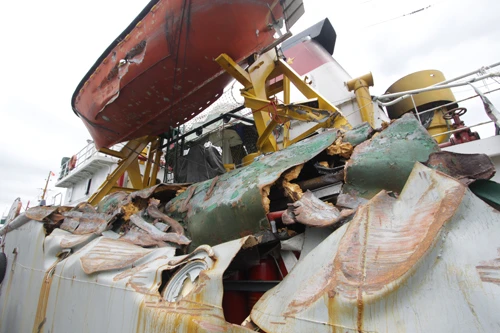 tàu kiểm ngư 951 - ảnh nguyễn tú