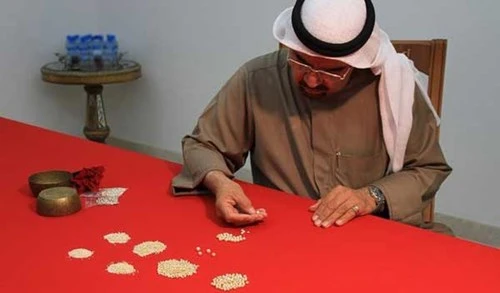 Kỳ thú nghề định dạng ngọc trai ảnh 1