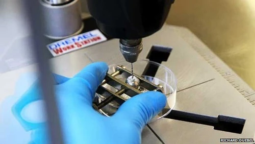 Kỳ thú nghề định dạng ngọc trai ảnh 3