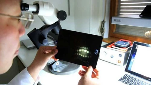 Kỳ thú nghề định dạng ngọc trai ảnh 2