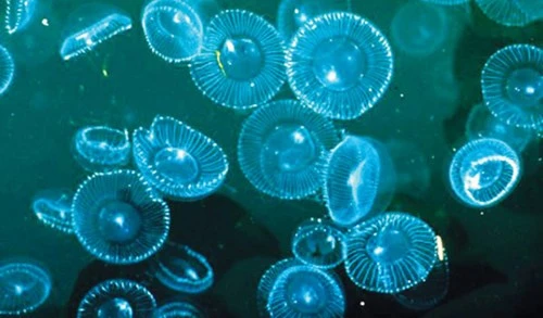 4 thắng cảnh độc đáo của thế giới ảnh 11