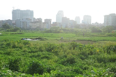 Hà Nội: Cận cảnh dự án cao ốc 100 tầng làm vườn rau